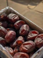 Premium Dates (Khajoor) – Fresh, Naturally Sweet & Energy-Rich Dry Fruits - Image 2