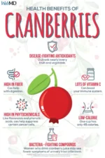Premium Dried Cranberries – Sweet, Tangy & Nutrient-Rich Healthy Snack - Image 4
