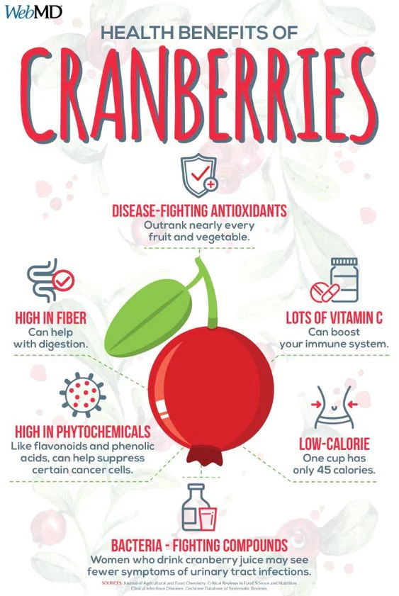 Premium Dried Cranberries – Sweet, Tangy & Nutrient-Rich Healthy Snack - Image 4