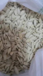 Premium Muskmelon Seeds (Kharbuja Magaj) – Fresh, Crunchy & Protein-Rich Healthy Seeds - Image 3