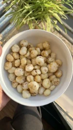 Premium Handpick Makhana (Fox Nuts) – Fresh, Crunchy & Healthy Roasted Snacks - Image 4
