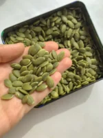 Premium Pumpkin Seeds – Fresh, Crunchy & Protein-Rich Healthy Seeds - Image 3